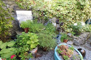 millbrdge_cottage_gallery_6